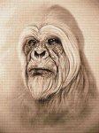 (image for) Yeti (in sepia)